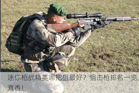 迷你枪战精英哪把狙最好？狙击枪排名一览，真香！