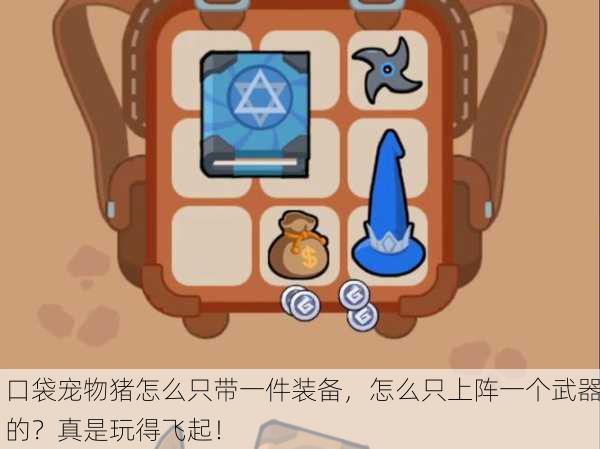 口袋宠物猪怎么只带一件装备，怎么只上阵一个武器的？真是玩得飞起！