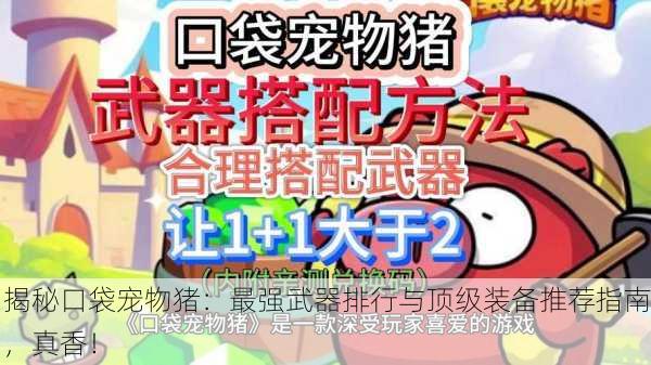 揭秘口袋宠物猪：最强武器排行与顶级装备推荐指南，真香！