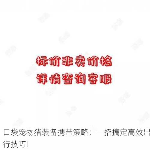 口袋宠物猪装备携带策略：一招搞定高效出行技巧！