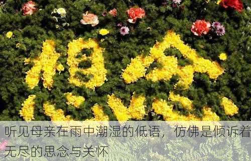 听见母亲在雨中潮湿的低语，仿佛是倾诉着无尽的思念与关怀