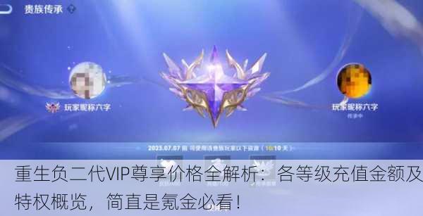 重生负二代VIP尊享价格全解析：各等级充值金额及特权概览，简直是氪金必看！