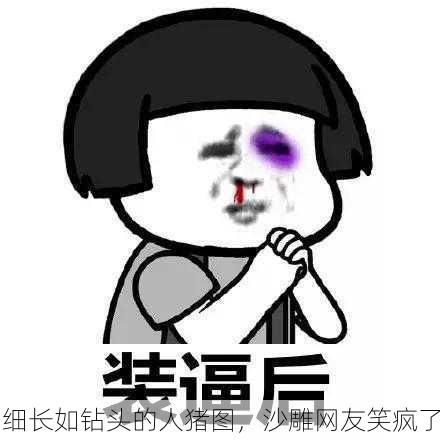 细长如钻头的人猪图，沙雕网友笑疯了