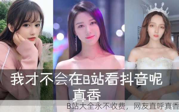 B站大全永不收费，网友直呼真香