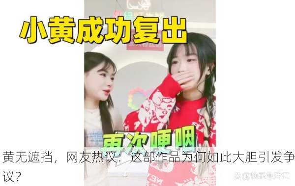 黄无遮挡，网友热议：这部作品为何如此大胆引发争议？