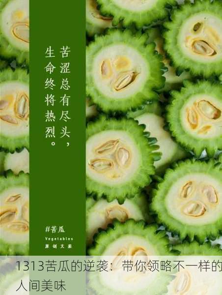 1313苦瓜的逆袭：带你领略不一样的人间美味