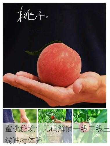 蜜桃秘境：无码解锁一线二线三线独特体验