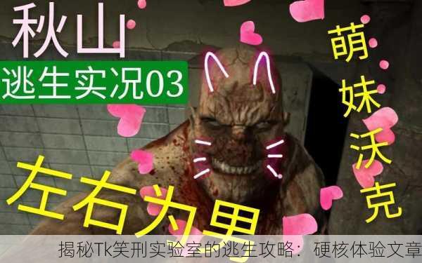揭秘Tk笑刑实验室的逃生攻略：硬核体验文章