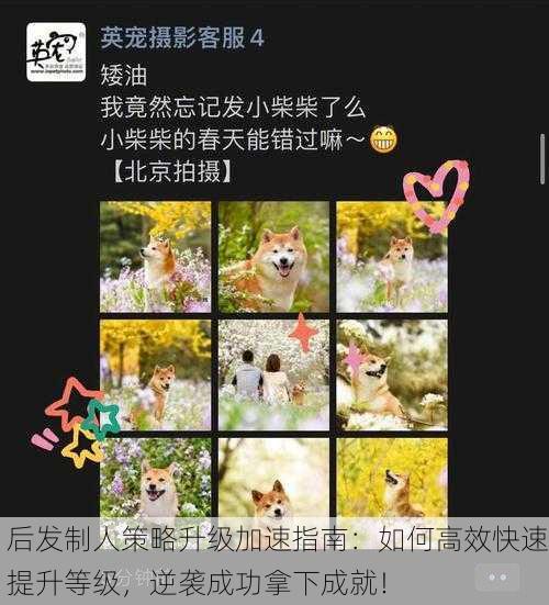 后发制人策略升级加速指南：如何高效快速提升等级，逆袭成功拿下成就！