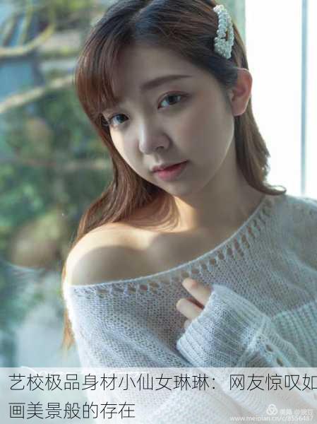 艺校极品身材小仙女琳琳：网友惊叹如画美景般的存在