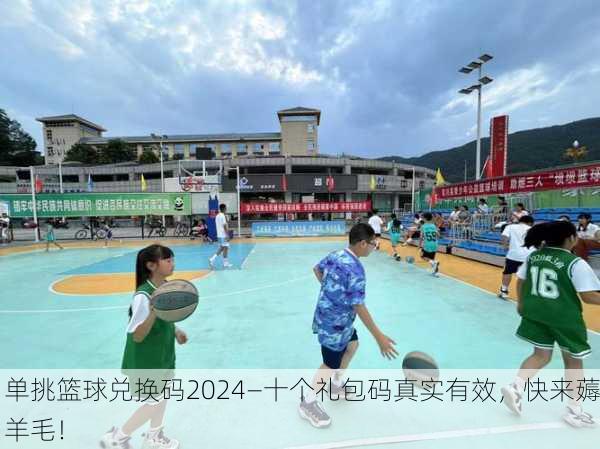 单挑篮球兑换码2024—十个礼包码真实有效，快来薅羊毛！