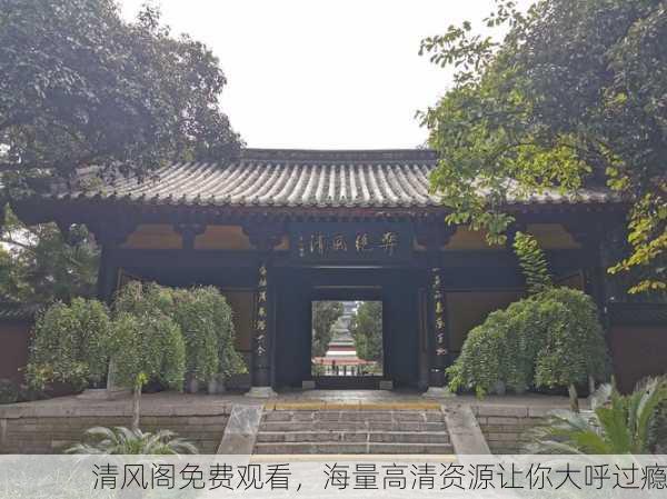 清风阁免费观看，海量高清资源让你大呼过瘾