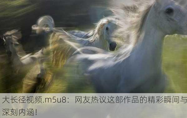 大长径视频.m5u8：网友热议这部作品的精彩瞬间与深刻内涵！