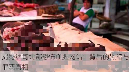 揭秘缅甸北部恐怖血腥网站：背后的黑暗与罪恶真相