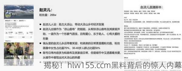 揭秘！hlw155.ccm黑料背后的惊人内幕