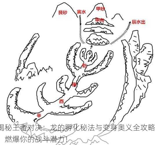 揭秘王者对决：龙的孵化秘法与变身奥义全攻略，燃爆你的战斗潜力！