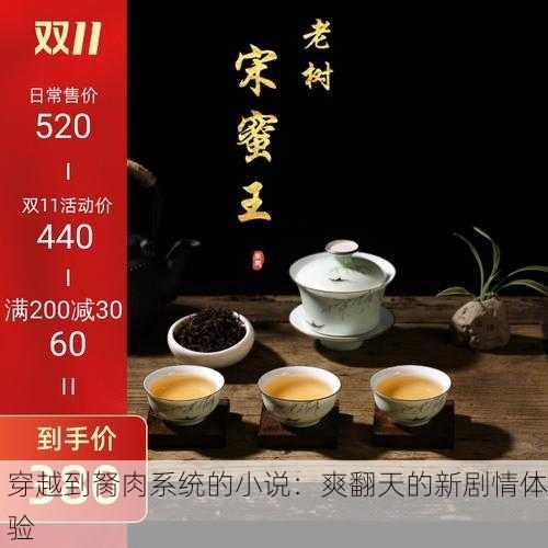 穿越到胬肉系统的小说：爽翻天的新剧情体验