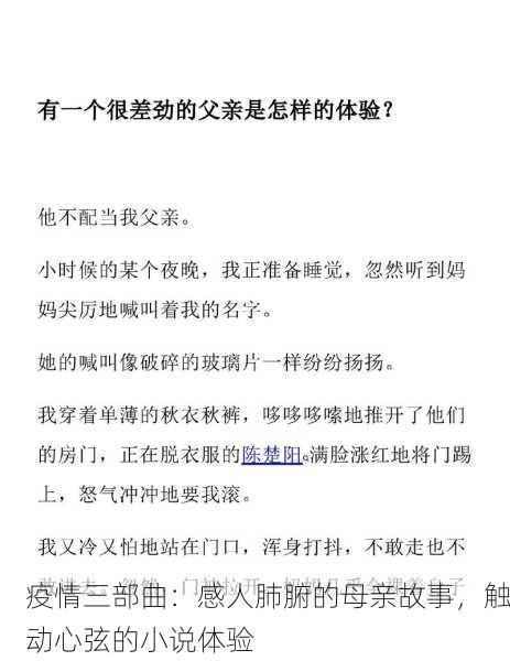 疫情三部曲：感人肺腑的母亲故事，触动心弦的小说体验