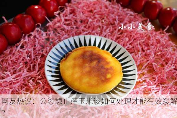 网友热议：公愆憩止痒玉米该如何处理才能有效缓解？
