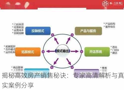 揭秘高效房产销售秘诀：专家高清解析与真实案例分享