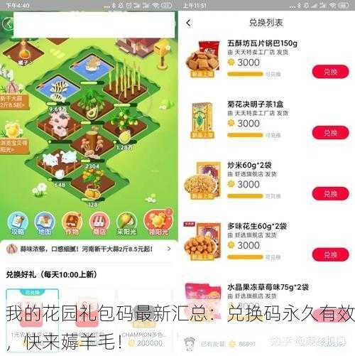 我的花园礼包码最新汇总：兑换码永久有效，快来薅羊毛！