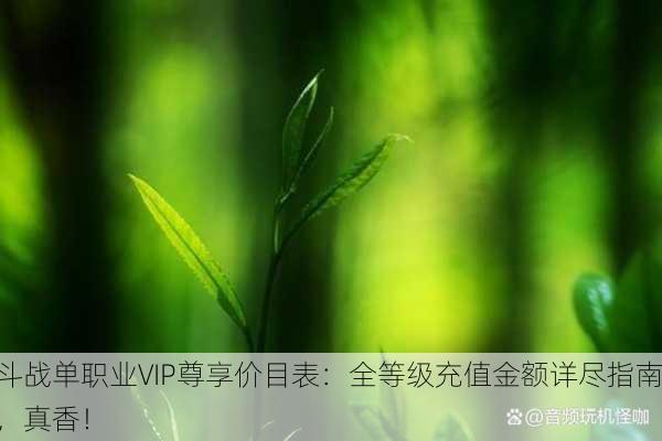 斗战单职业VIP尊享价目表：全等级充值金额详尽指南，真香！