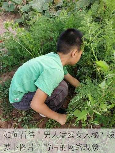 如何看待＂男人猛躁女人秘？拔萝卜图片＂背后的网络现象