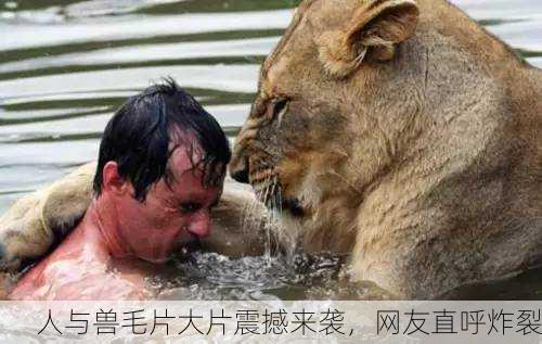 人与兽毛片大片震撼来袭，网友直呼炸裂