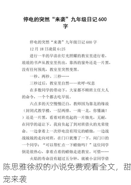 陈思雅徐叔的小说免费观看全文，甜宠来袭