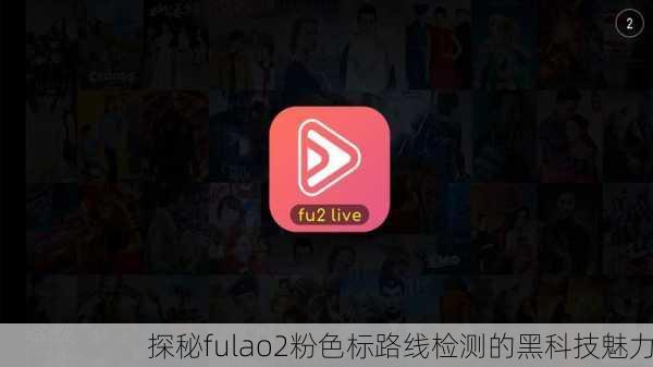 探秘fulao2粉色标路线检测的黑科技魅力