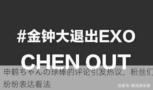 申鹤ちゃんの球棒的评论引发热议，粉丝们纷纷表达看法