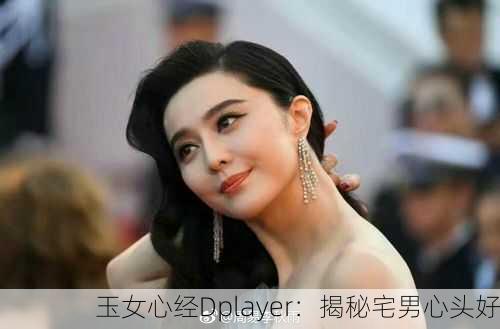 玉女心经Dplayer：揭秘宅男心头好