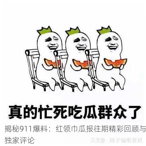 揭秘911爆料：红领巾瓜报往期精彩回顾与独家评论