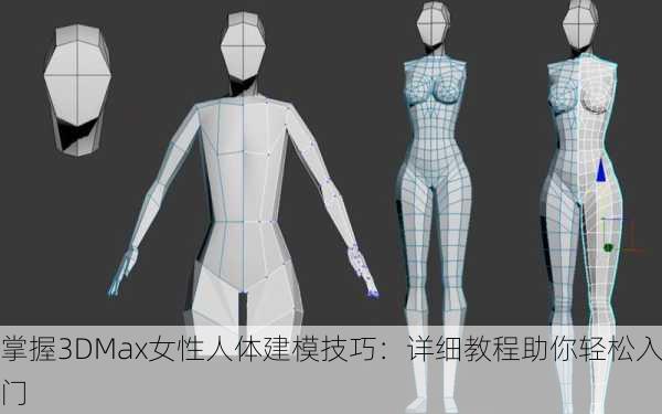 掌握3DMax女性人体建模技巧：详细教程助你轻松入门