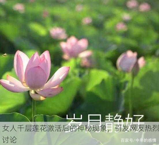 女人千层莲花激活后的神秘现象，引发网友热烈讨论