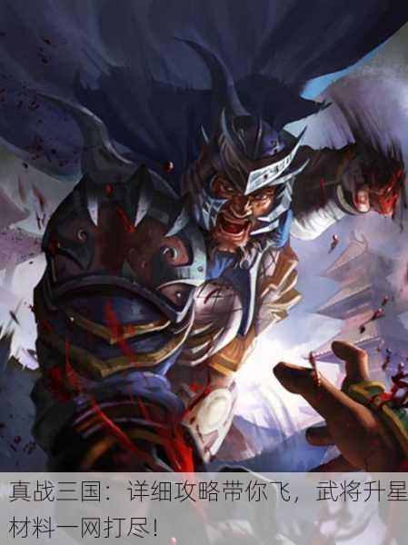 真战三国：详细攻略带你飞，武将升星材料一网打尽！