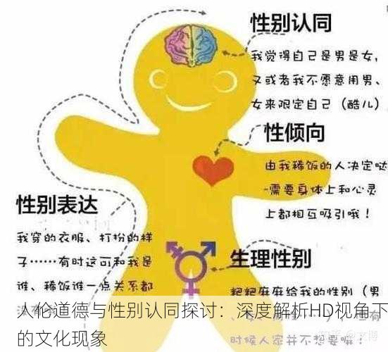人伦道德与性别认同探讨：深度解析HD视角下的文化现象