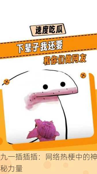 九一插插插：网络热梗中的神秘力量