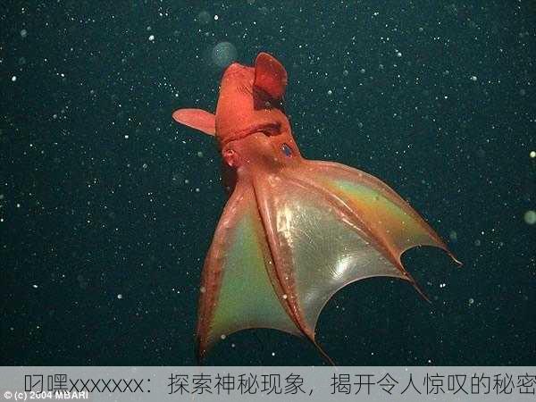 叼嘿xxxxxxx：探索神秘现象，揭开令人惊叹的秘密