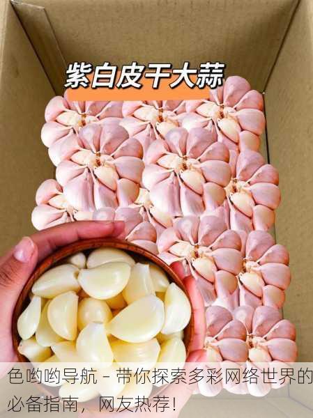 色哟哟导航 – 带你探索多彩网络世界的必备指南，网友热荐！
