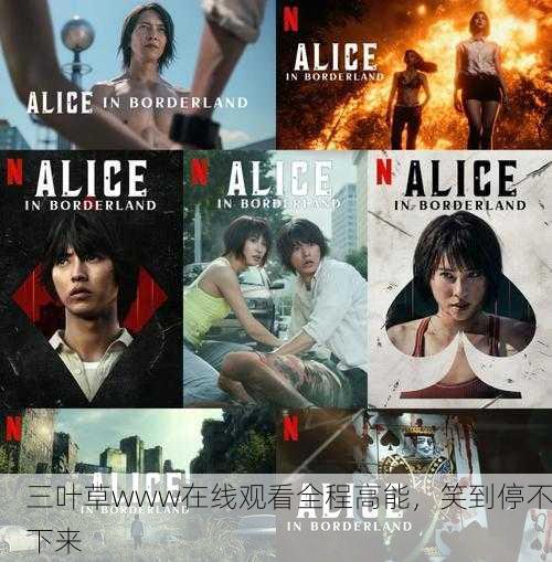 三叶草www在线观看全程高能，笑到停不下来