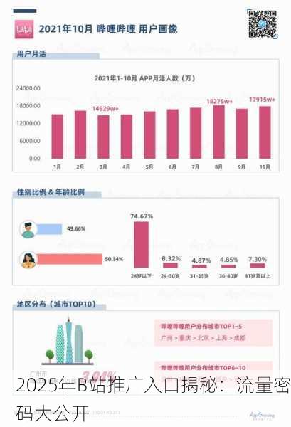 2025年B站推广入口揭秘：流量密码大公开