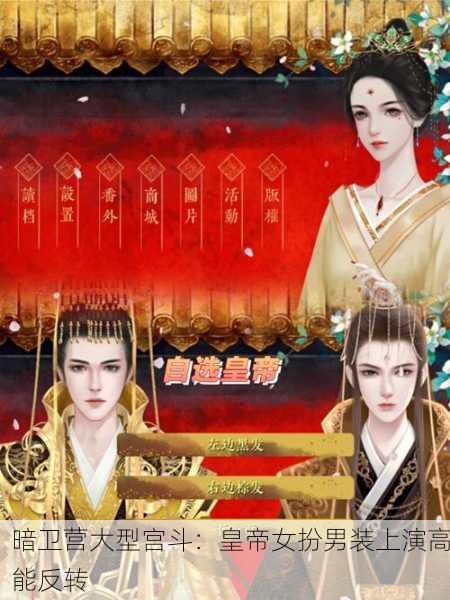 暗卫营大型宫斗：皇帝女扮男装上演高能反转