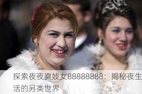 探索夜夜爽妓女88888888：揭秘夜生活的另类世界