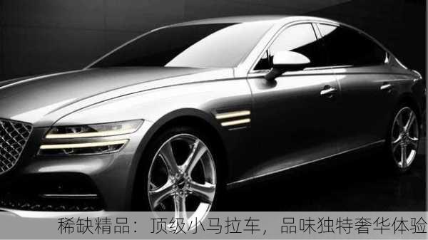 稀缺精品：顶级小马拉车，品味独特奢华体验