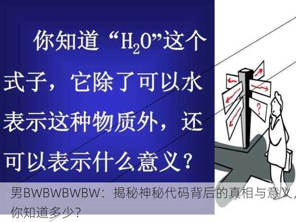 男BWBWBWBW：揭秘神秘代码背后的真相与意义，你知道多少？