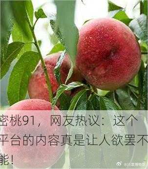 密桃91，网友热议：这个平台的内容真是让人欲罢不能！