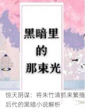 惊天阴谋：将朱竹清抓来繁殖后代的黑暗小说解析