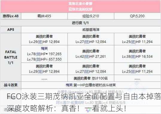 FGO泳装三期茂纳凯亚全面配置与自由本掉落深度攻略解析：真香！一看就上头！