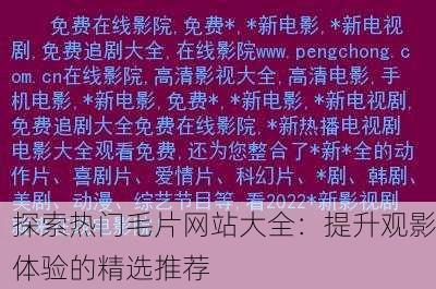 探索热门毛片网站大全：提升观影体验的精选推荐